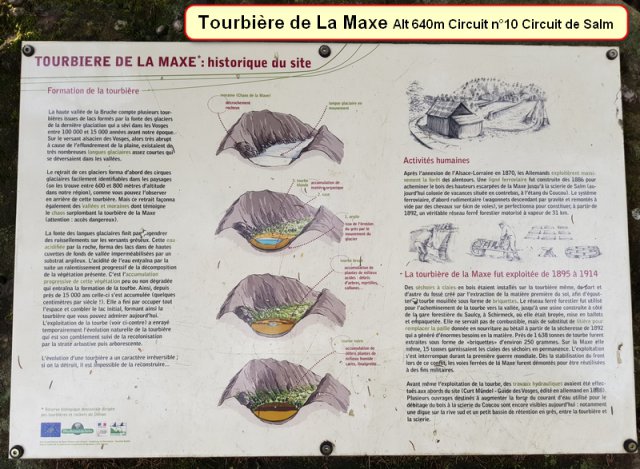 Tourbiere de La Maxe-3